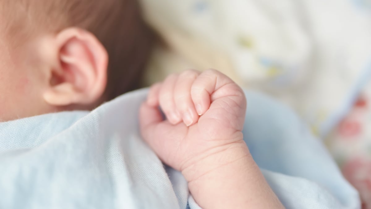 bebés