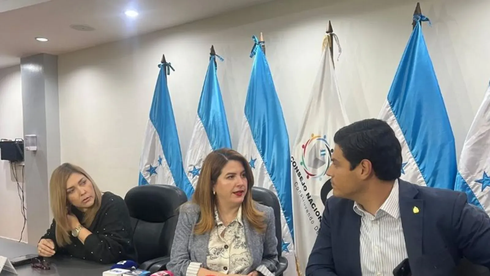 CNE acuerdos sobre el TREP