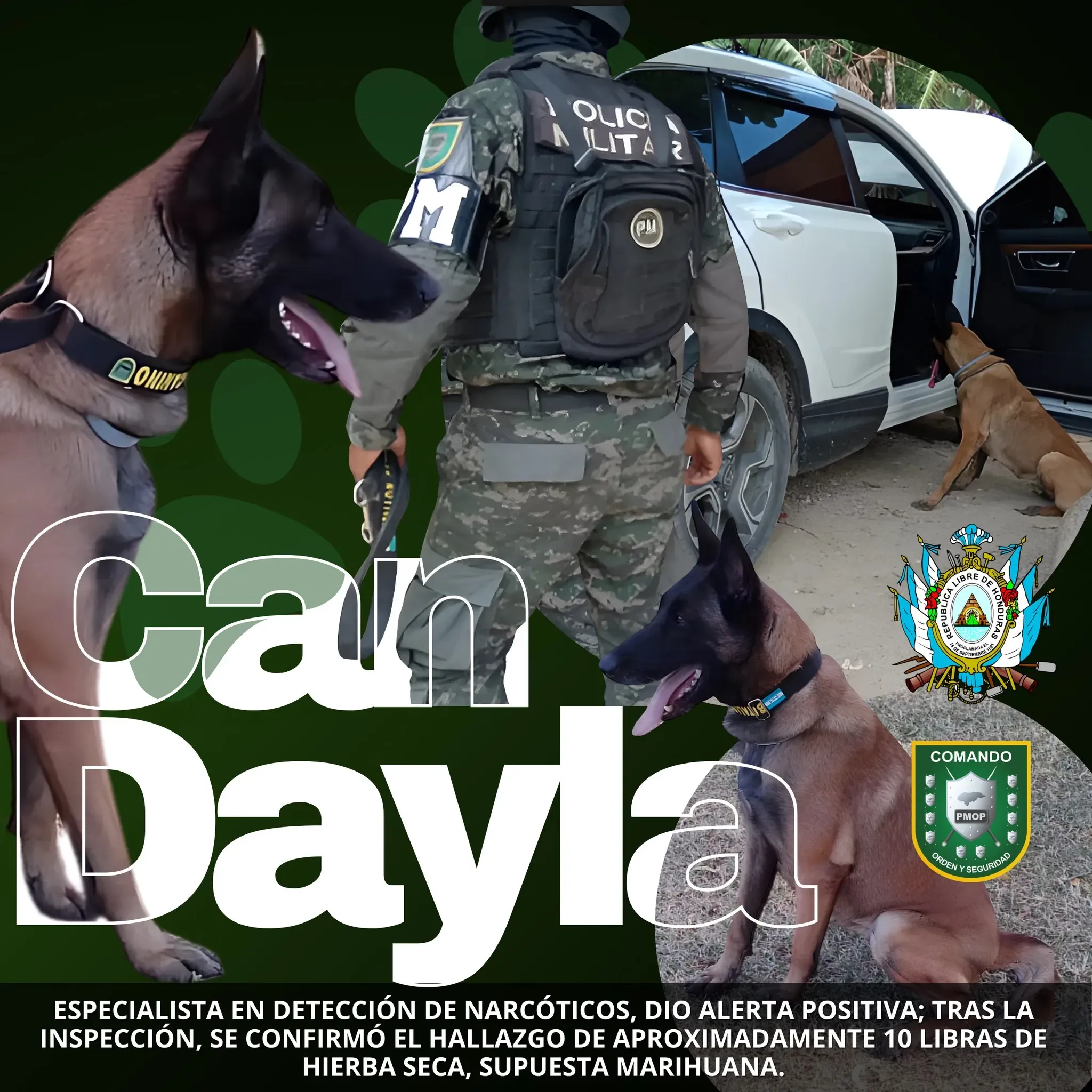 Can Dayla (2)