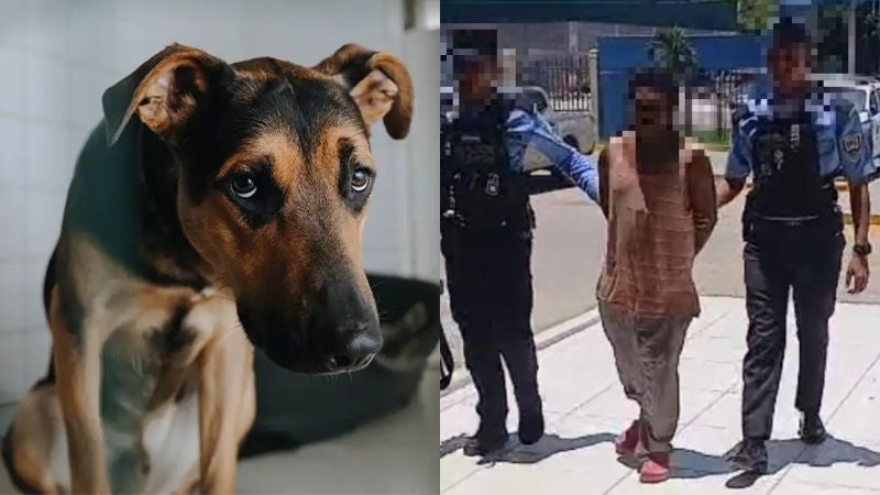 Capturan a sujeto por descuartizar perros