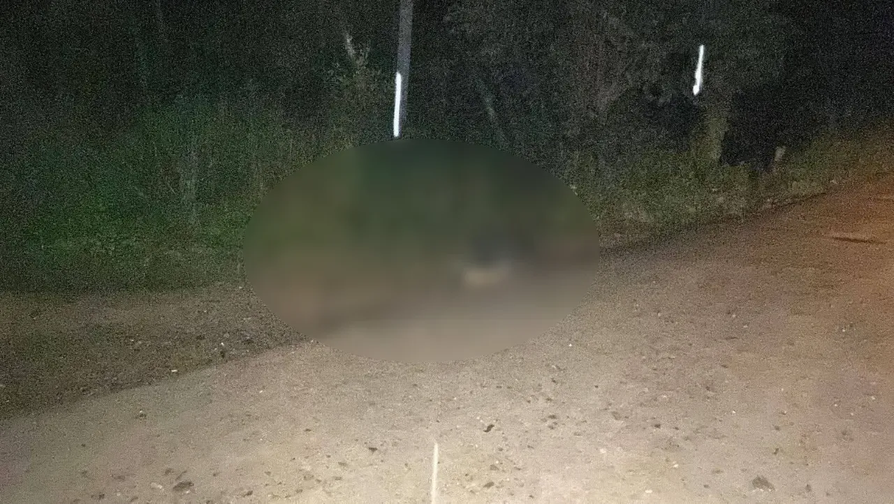 Hallan cuerpo sin vida en Catacamas Siguatepeque