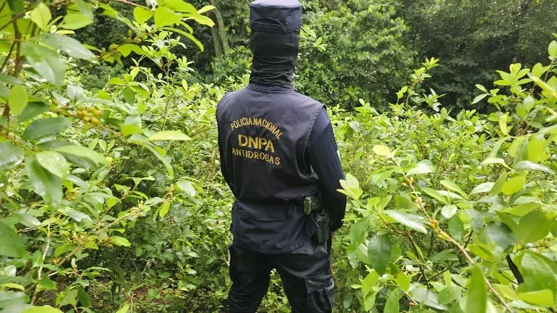 Coca Río Hondo (2)