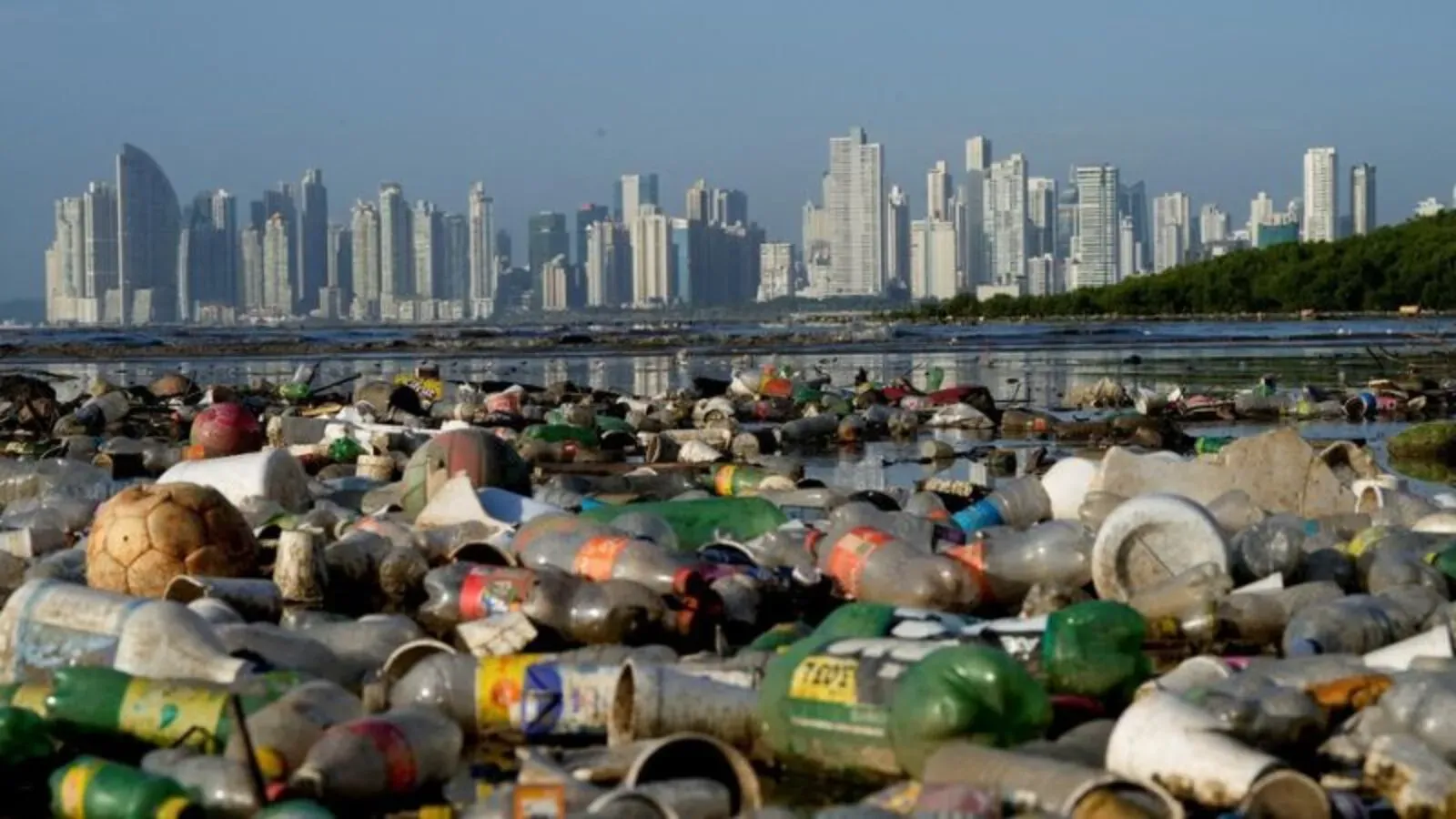 contaminación por plásticos