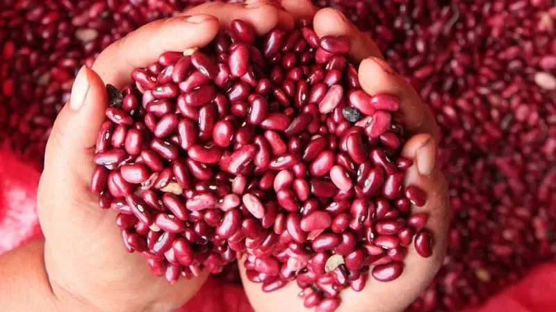 Frijoles