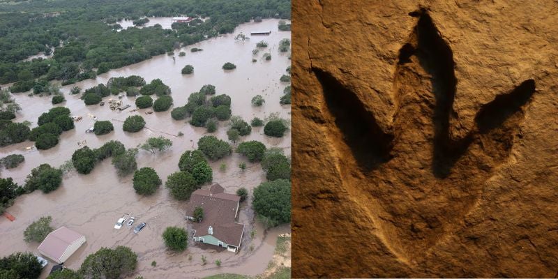 Huellas de dinosaurios de 100 millones de años aparecen tras inundaciones en Texas