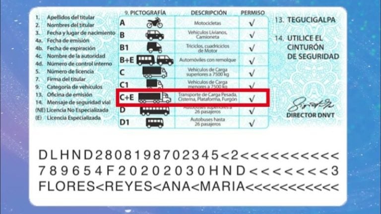 LICENCIA PESADA