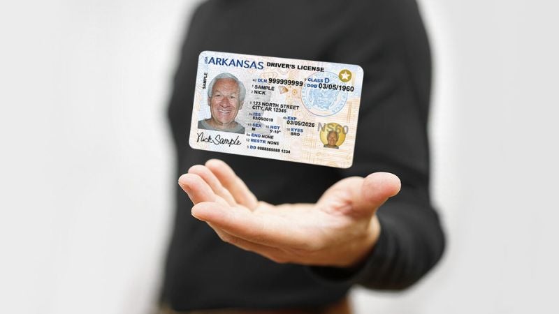 licencia estatus migratorio