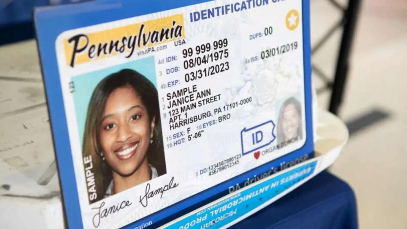 licencias de conducir en Estados Unidos