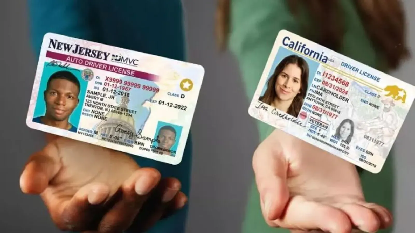 licencias de conducir en Estados Unidos