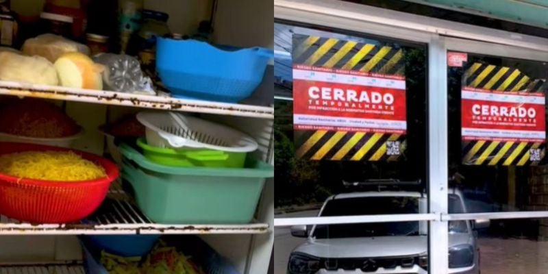 ¡Insólito! Encuentran gatos en la cocina de restaurante chino en Tegucigalpa