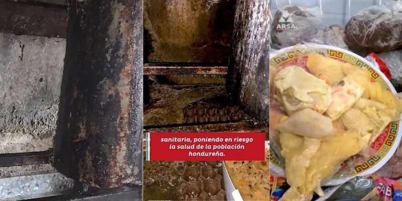 ¡Insólito! Encuentran gatos en la cocina de restaurante chino en Tegucigalpa