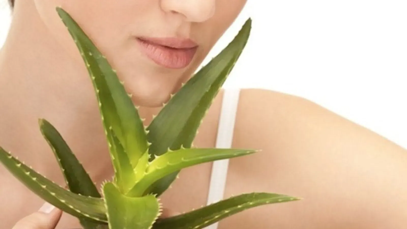 aloe vera en tu rutina facial 