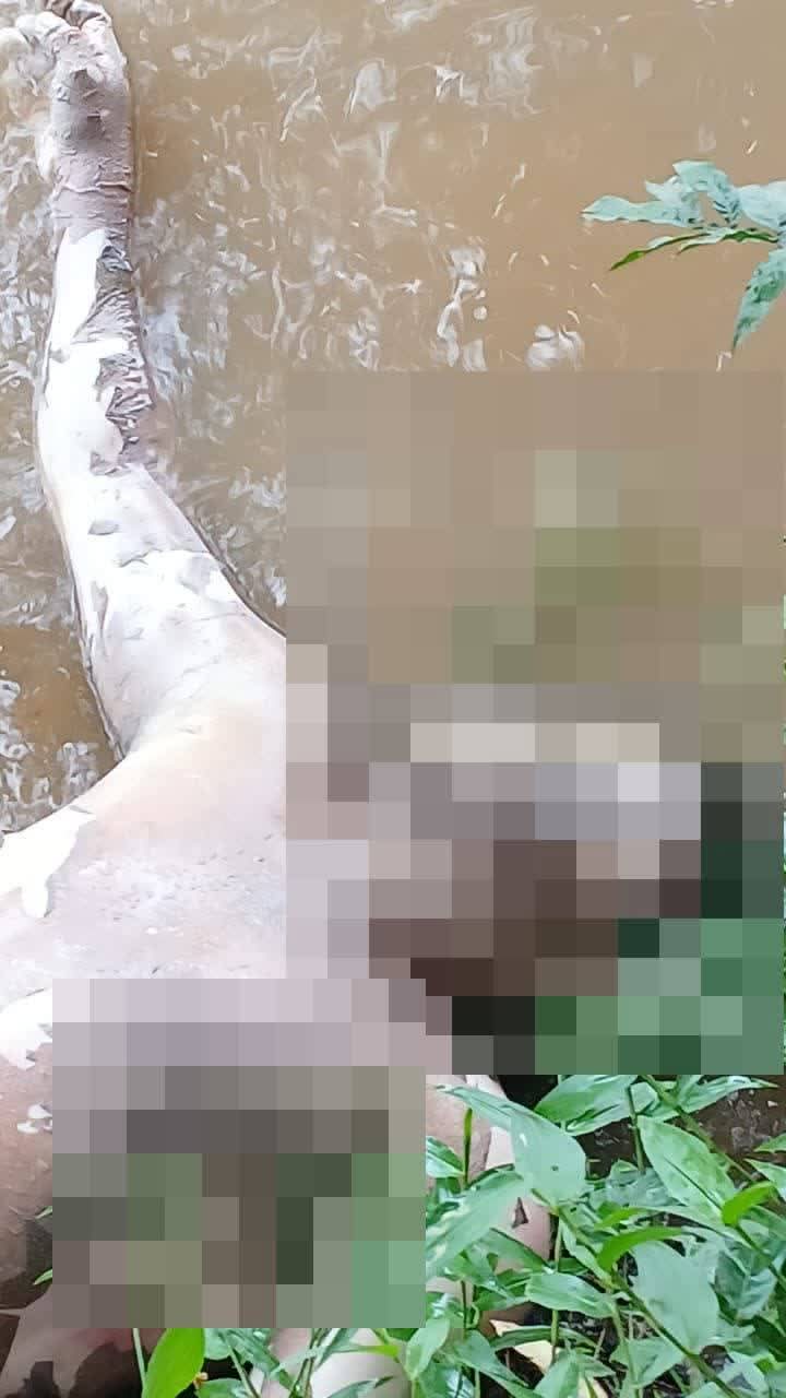Hallan cadáver maniatado en el río Patuca