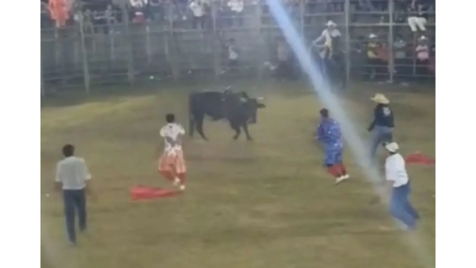  San Lorenzo: Montador es arrastrado por un toro