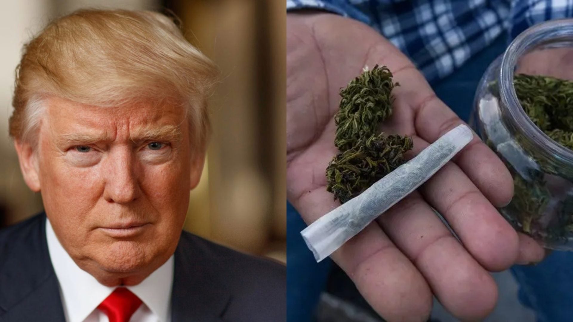 Trump abre la puerta a reclasificar la marihuana