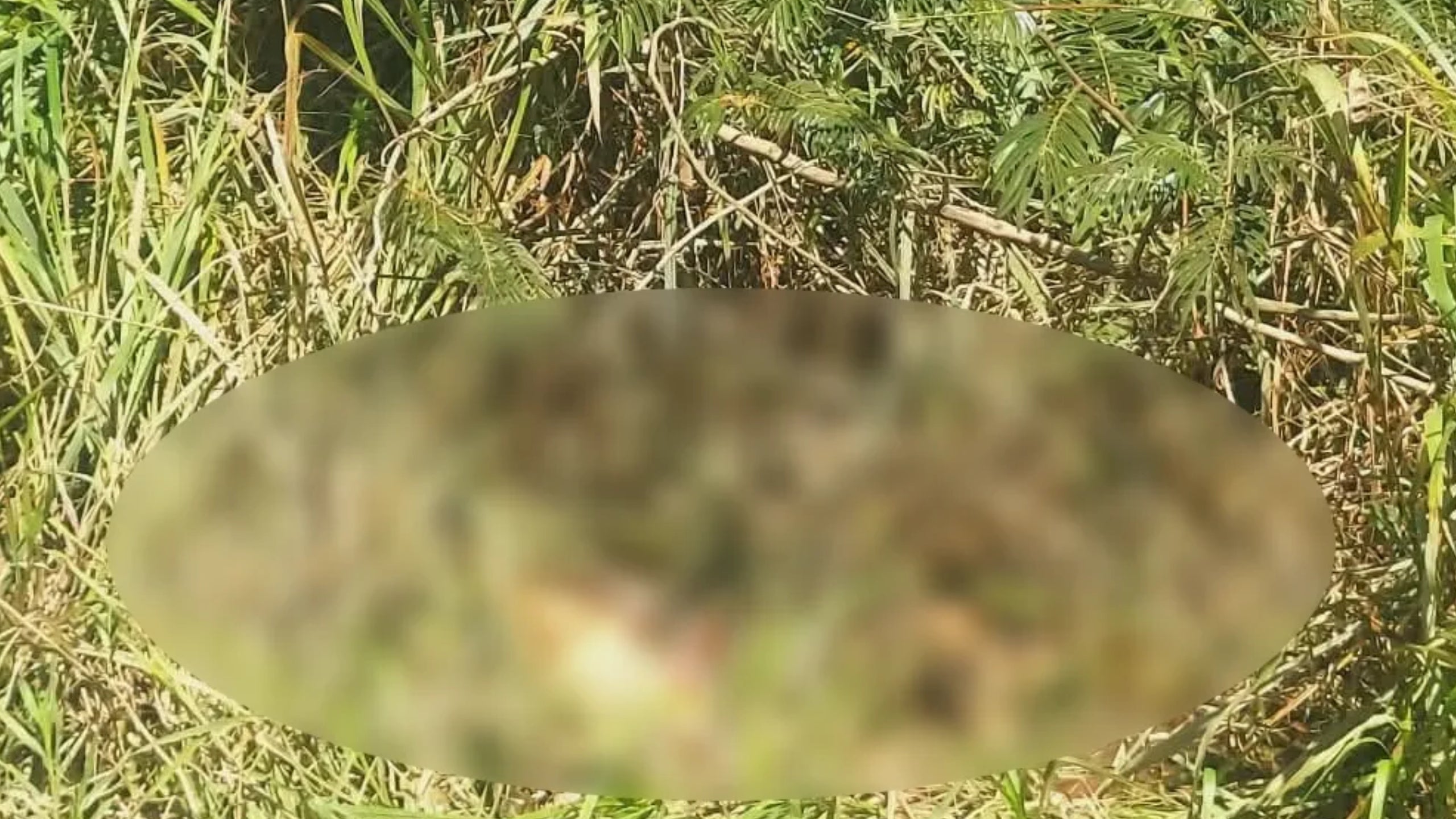 Se reportan hechos delictivos en Olancho