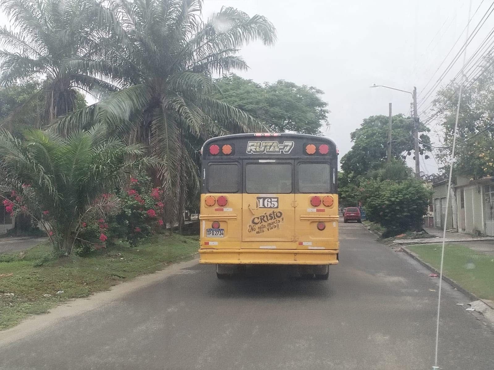 Ruta 7