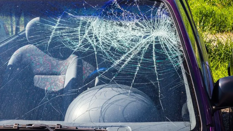 Más de 100 accidentes viales dejan varios muertos