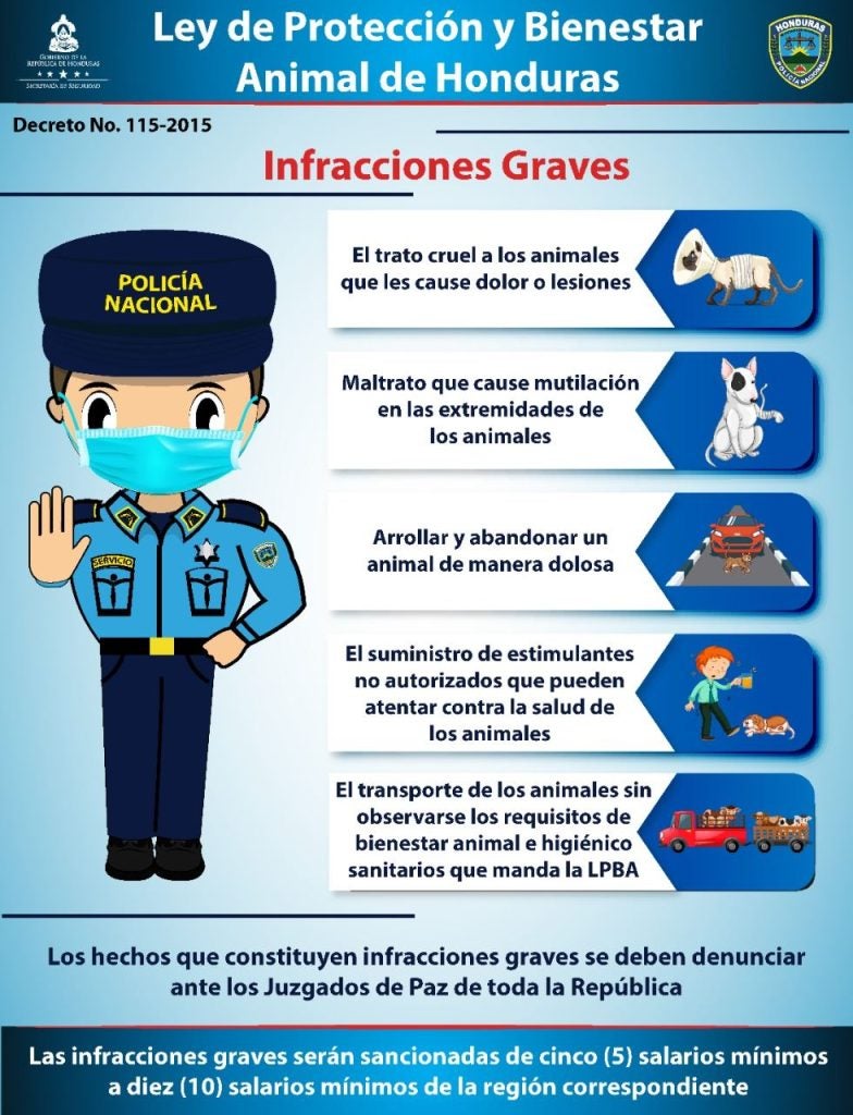 infracciones 
