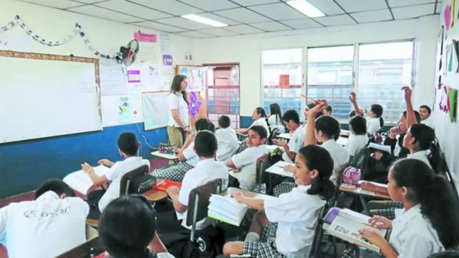 clases en escuelas especializadas