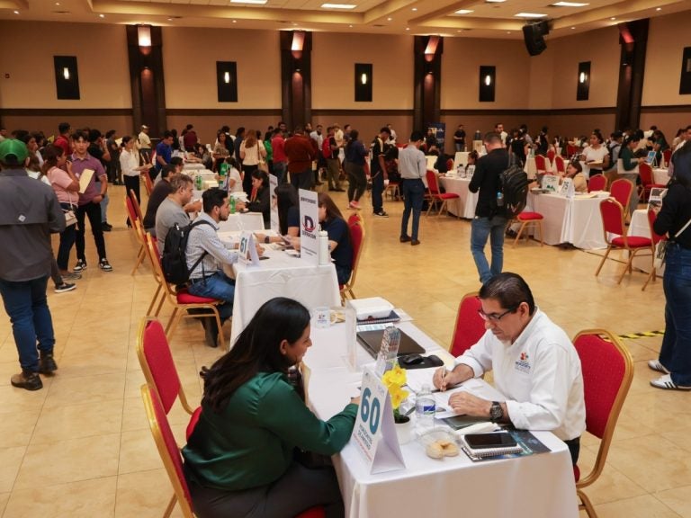 Feria de empleo
