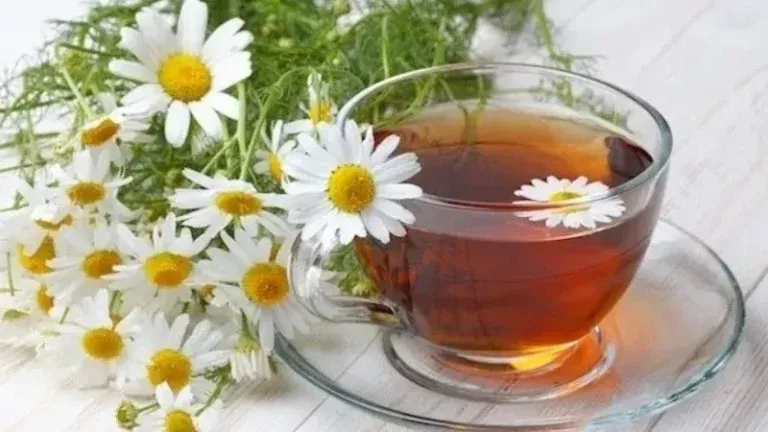 Beneficios de la manzanilla para la salud