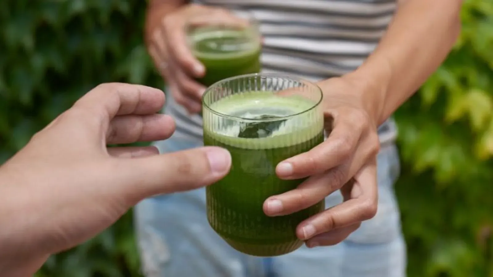 consumir matcha todos los días 