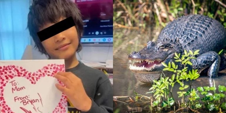 niño hondureño atacado por caimán