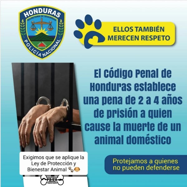 Policia