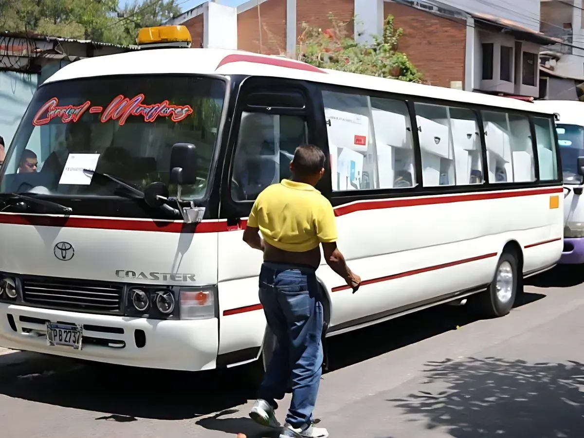 Proveedores de transporte del CNE