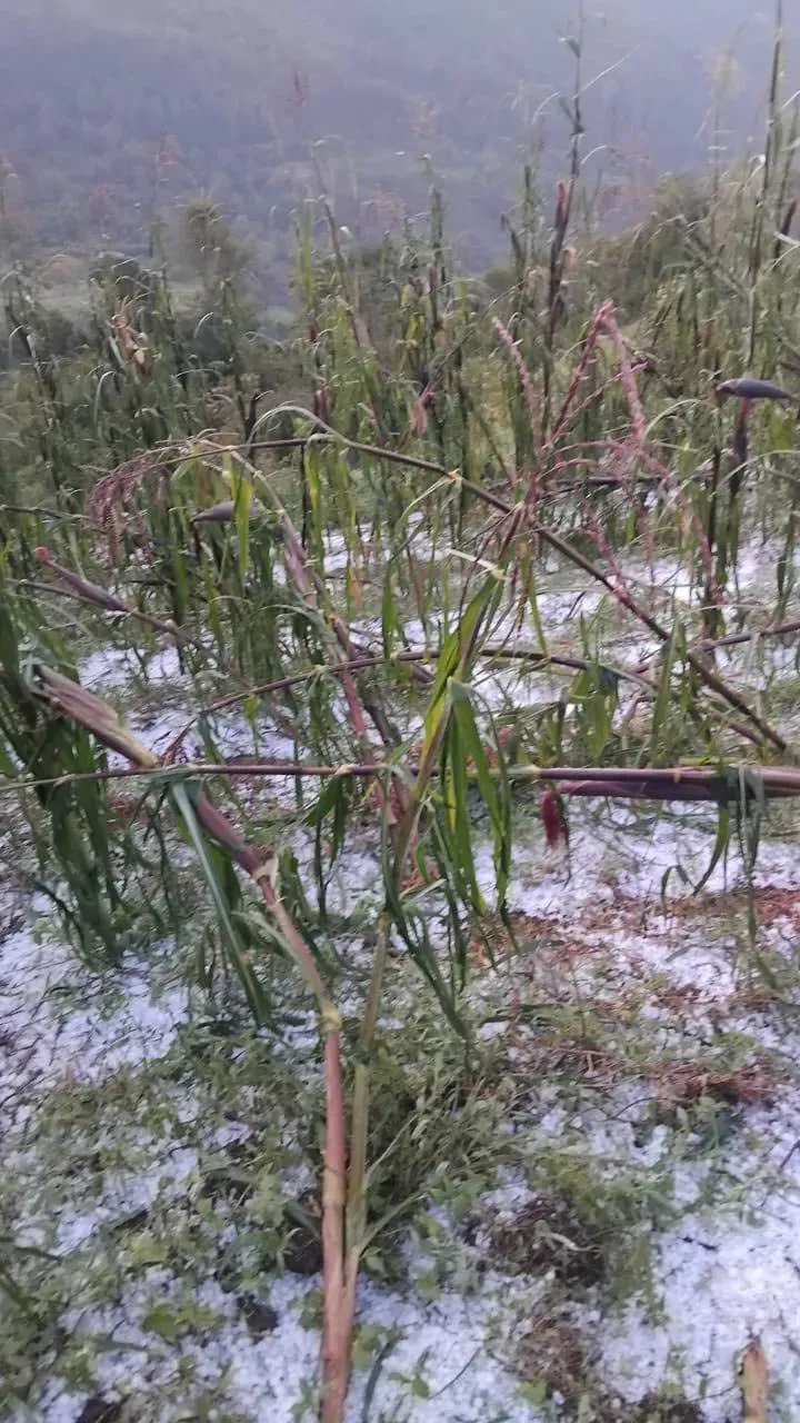 Granizo Intibucá