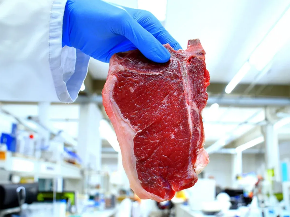 Texas prohíbe la carne cultivada en laboratorio