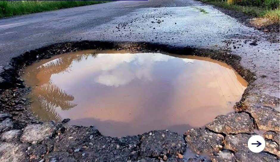 baches