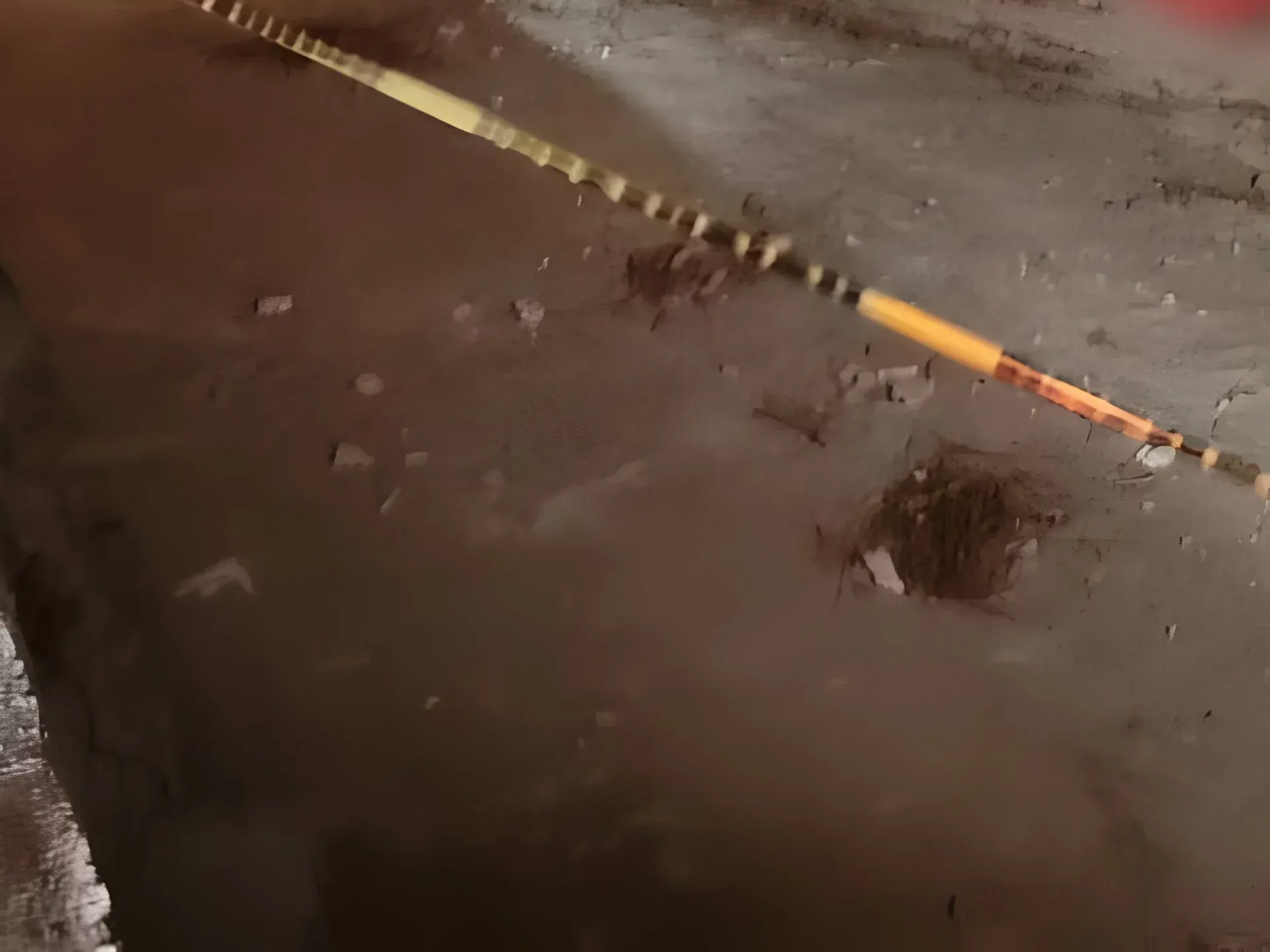escena del crimen